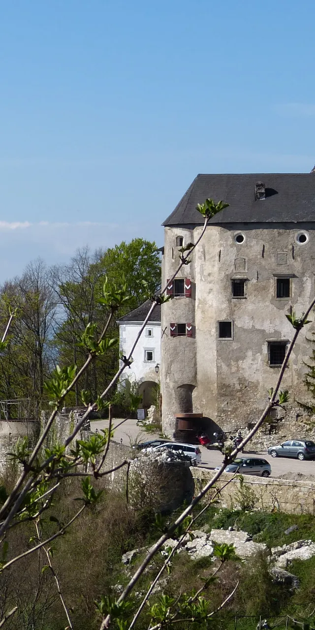 Mittelalterliche Burg mit Turm und Tor im Frühling, umgeben von Bäumen und jungen Trieben