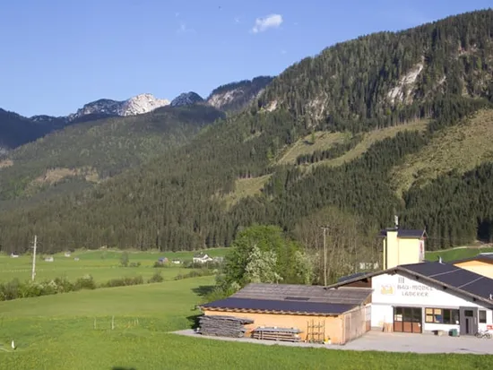 Wood processing building in lush alpine valley with forested mountains in background